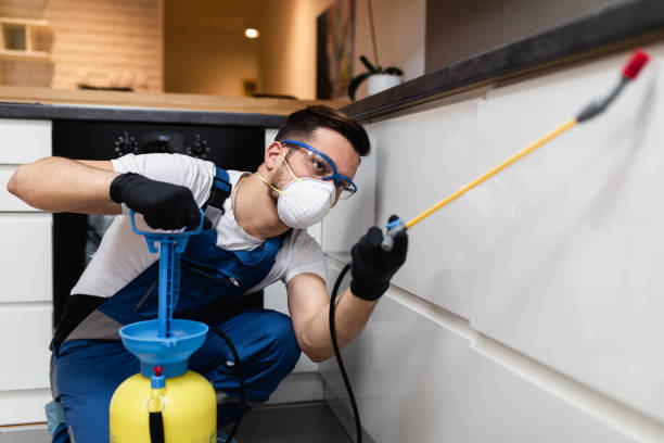 Best Commercial Pest Control Services  in Wabasso Beach, FL